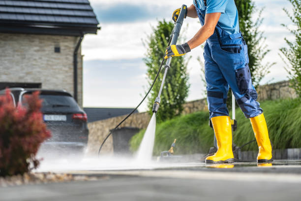 Best Roof Cleaning and Mildew Removal in Brownstown, IN